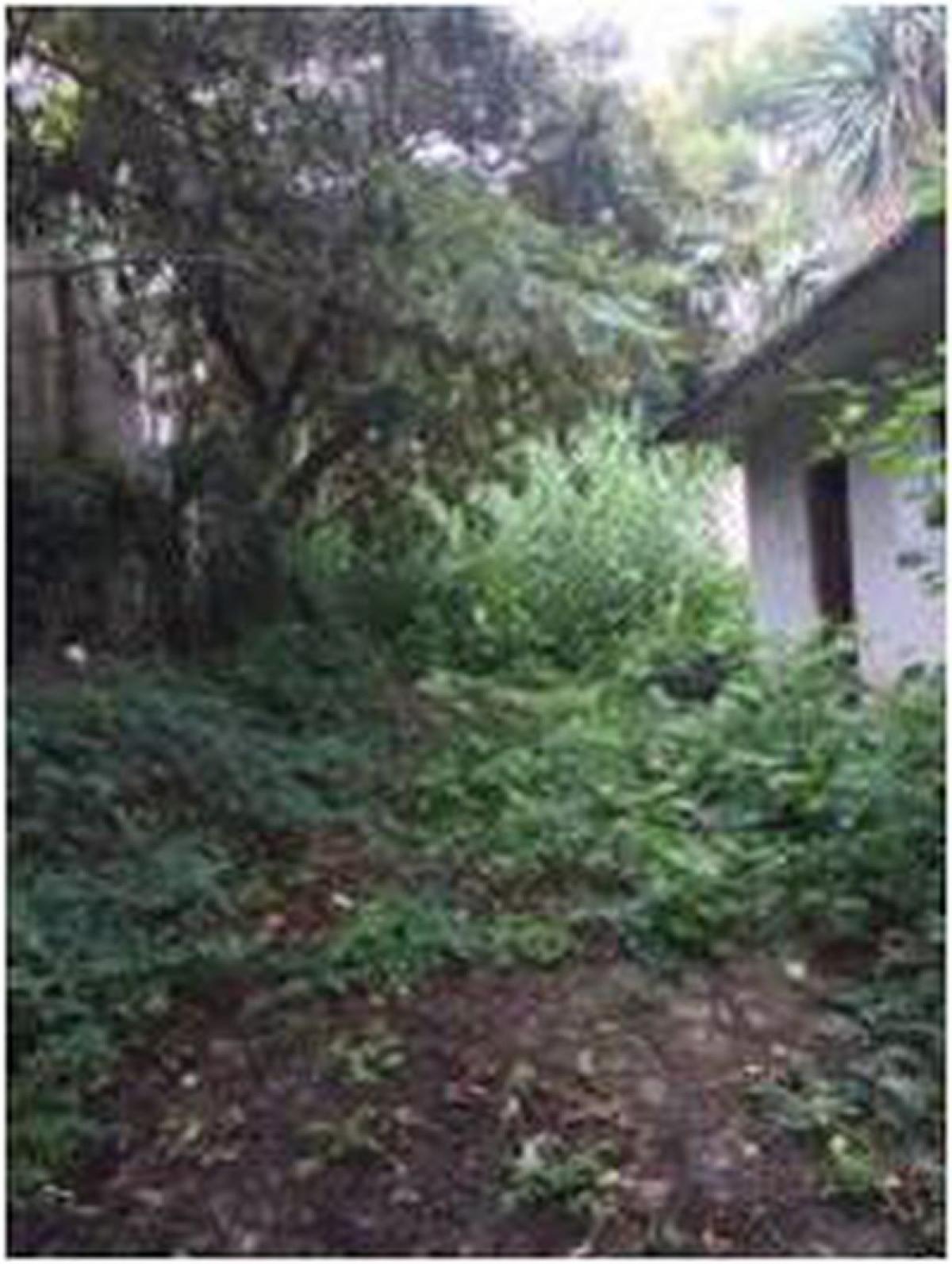 Picture of Other Commercial For Sale in Malinalco, Mexico, Mexico