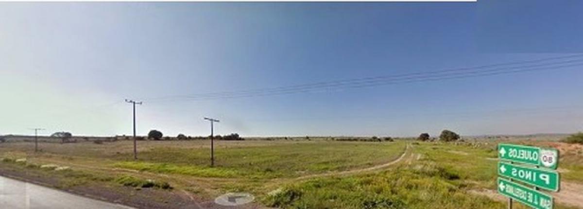 Picture of Other Commercial For Sale in Ojuelos De Jalisco, Jalisco, Mexico