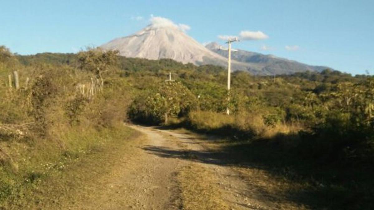 Picture of Other Commercial For Sale in Comala, Colima, Mexico