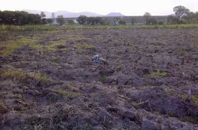 Other Commercial For Sale in Villa De Reyes, Mexico