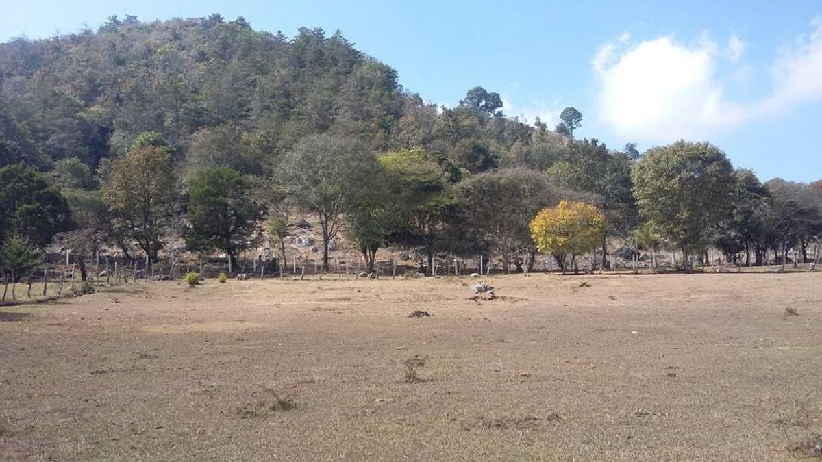 Picture of Other Commercial For Sale in Teopisca, Chiapas, Mexico