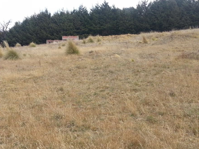 Other Commercial For Sale in Tlalpan, Mexico