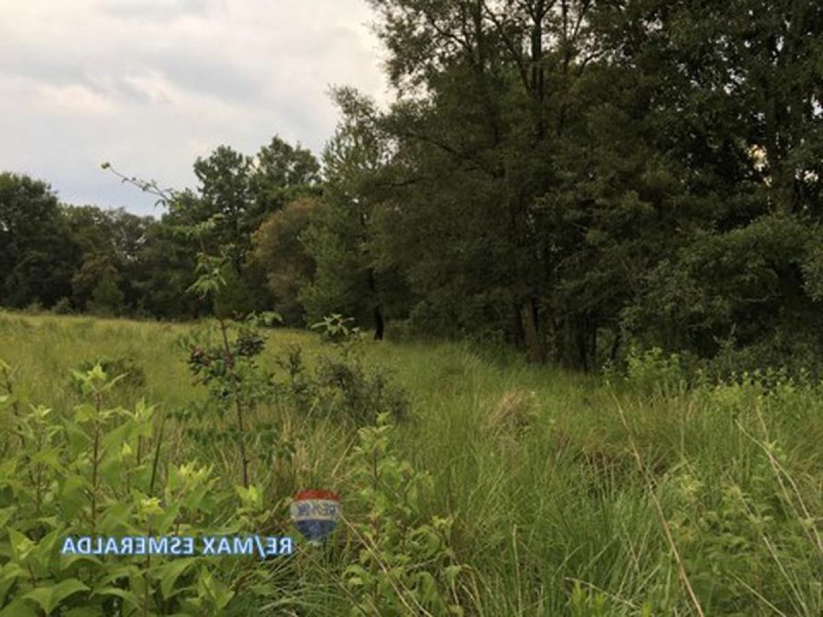 Picture of Other Commercial For Sale in Jilotzingo, Mexico, Mexico