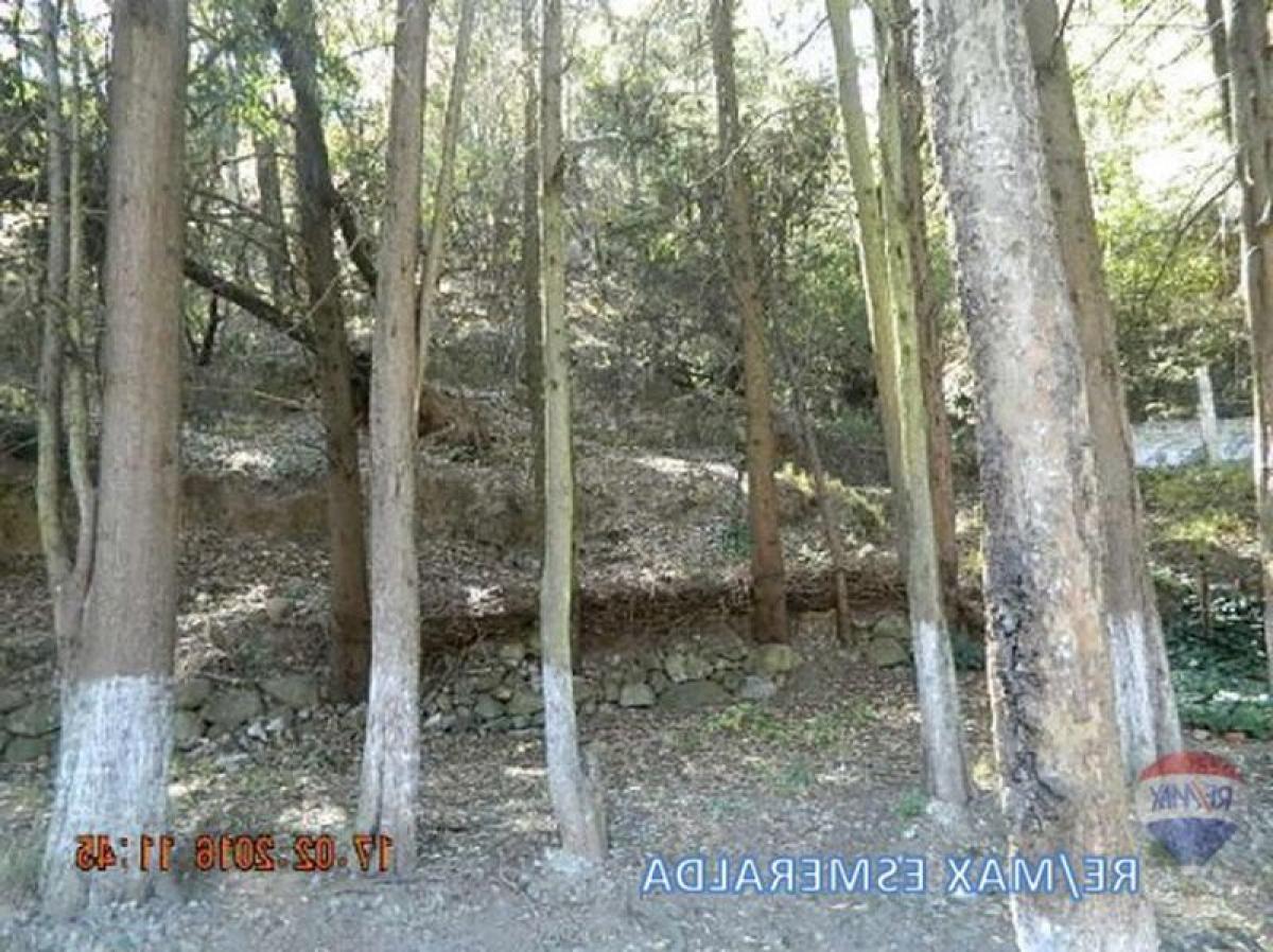Picture of Other Commercial For Sale in Villa Del Carbon, Mexico, Mexico
