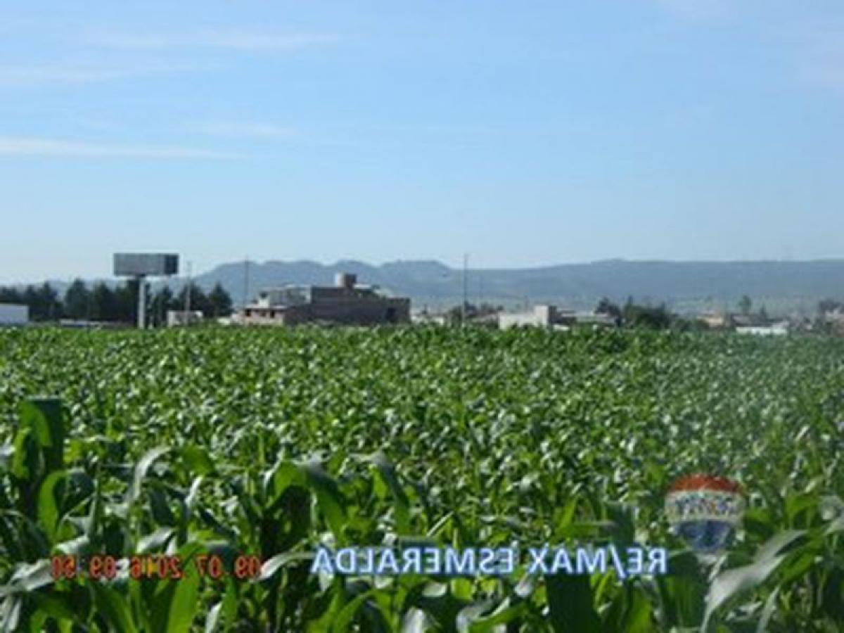 Picture of Other Commercial For Sale in Chignahuapan, Puebla, Mexico