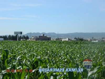 Other Commercial For Sale in Chignahuapan, Mexico