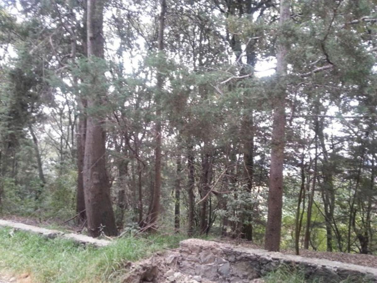 Picture of Other Commercial For Sale in Cuajimalpa De Morelos, Mexico City, Mexico