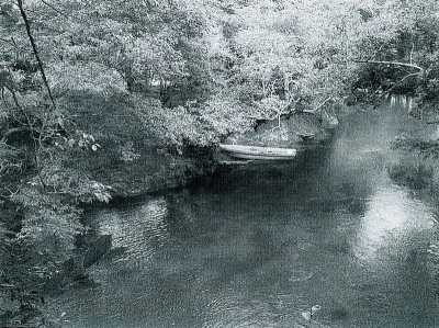 Other Commercial For Sale in Tancanhuitz, Mexico