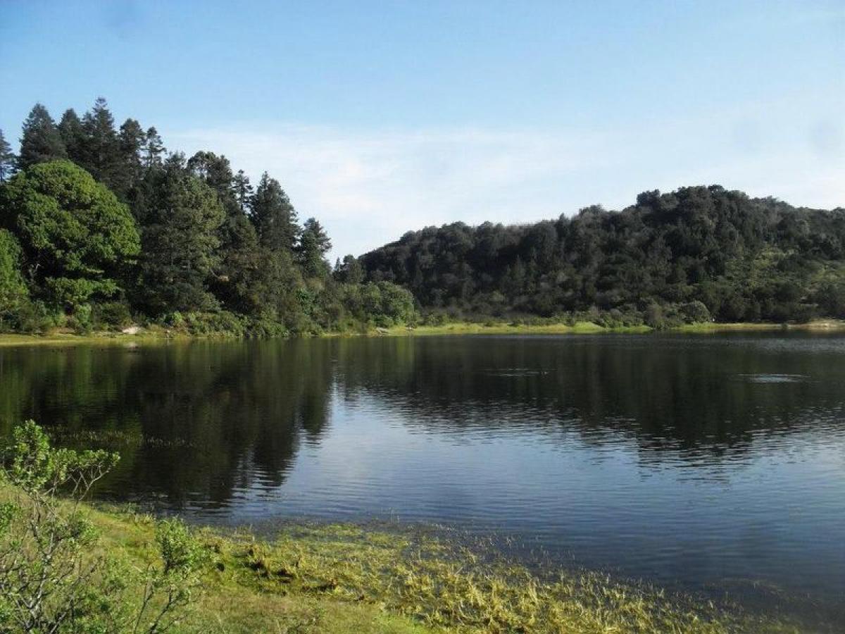 Picture of Other Commercial For Sale in Omitlan De Juarez, Hidalgo, Mexico