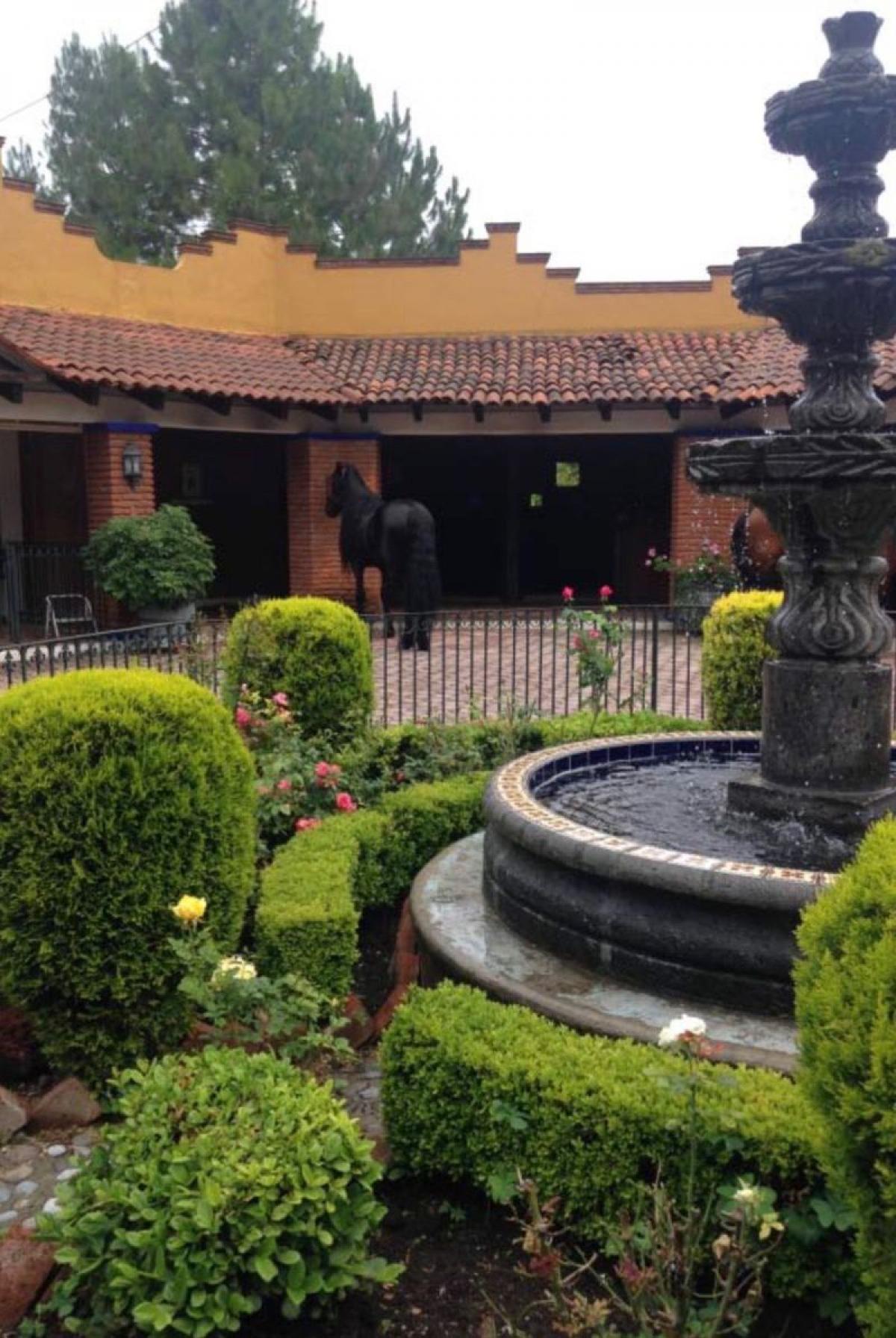 Picture of Other Commercial For Sale in Hidalgo, Hidalgo, Mexico