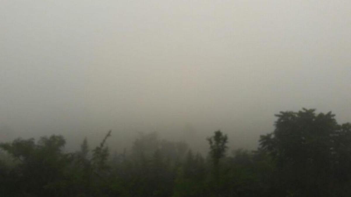 Picture of Other Commercial For Sale in Tamuin, San Luis Potosi, Mexico