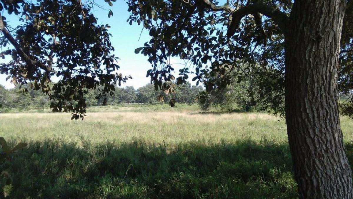 Picture of Other Commercial For Sale in Tijuana, Baja California, Mexico