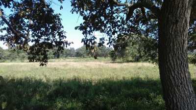 Other Commercial For Sale in Tijuana, Mexico