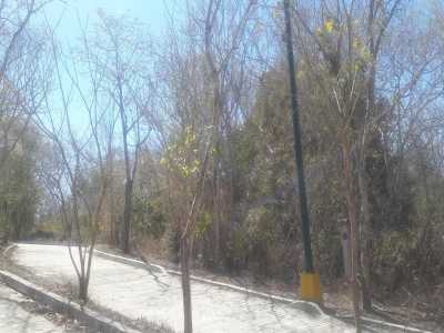 Other Commercial For Sale in Sinaloa, Mexico