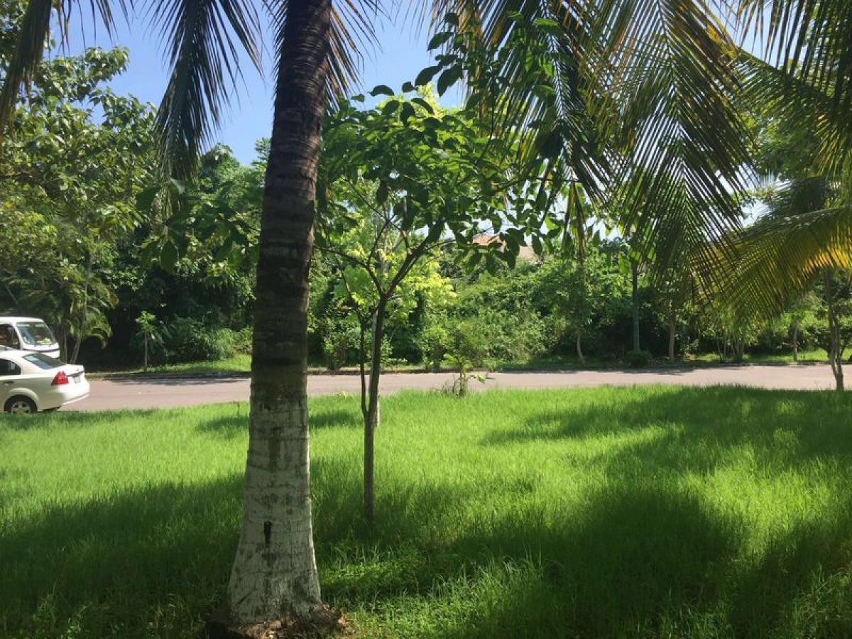 Picture of Other Commercial For Sale in Bahia De Banderas, Nayarit, Mexico