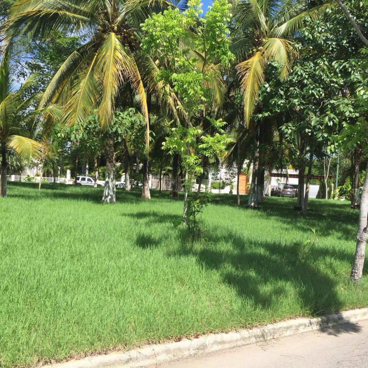 Picture of Other Commercial For Sale in Bahia De Banderas, Nayarit, Mexico