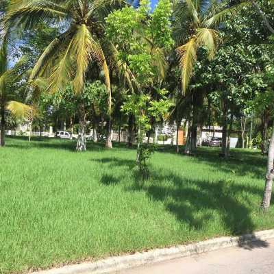 Other Commercial For Sale in Bahia De Banderas, Mexico