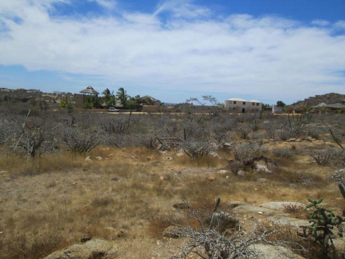 Picture of Other Commercial For Sale in Los Cabos, Baja California Sur, Mexico