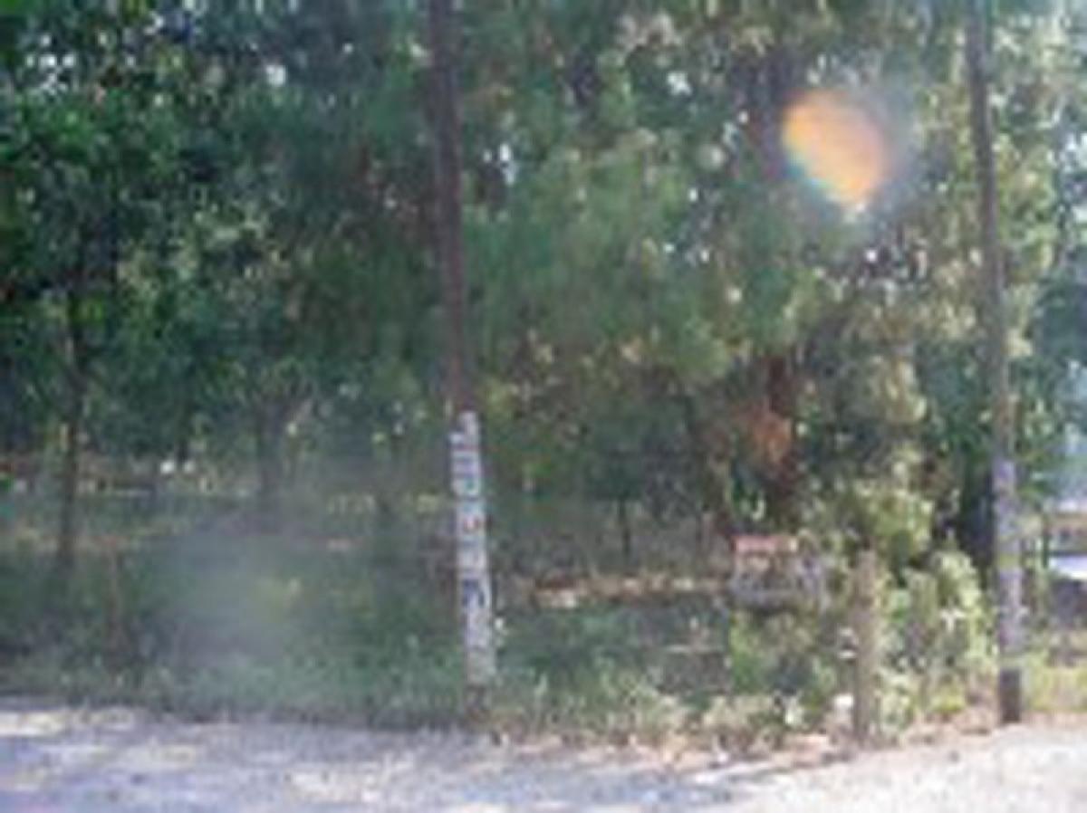 Picture of Other Commercial For Sale in Valle De Bravo, Mexico, Mexico