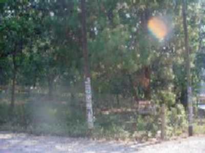 Other Commercial For Sale in Valle De Bravo, Mexico