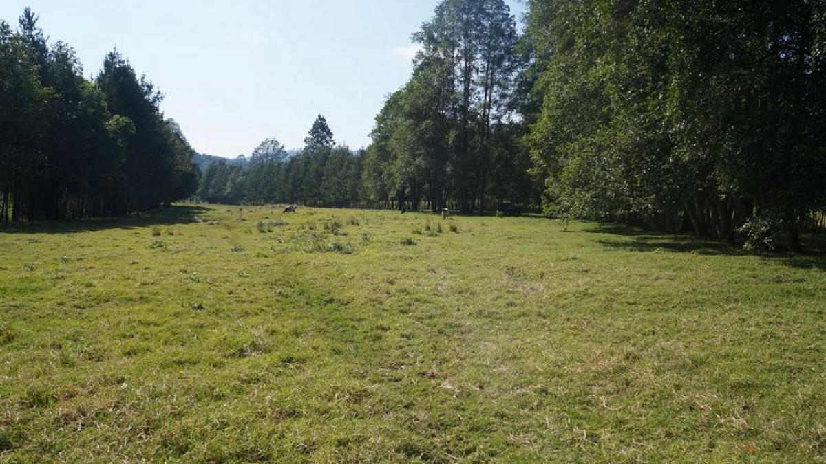 Picture of Other Commercial For Sale in Valle De Bravo, Mexico, Mexico