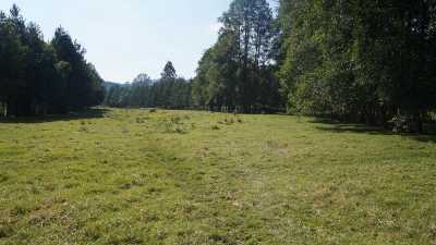 Other Commercial For Sale in Valle De Bravo, Mexico