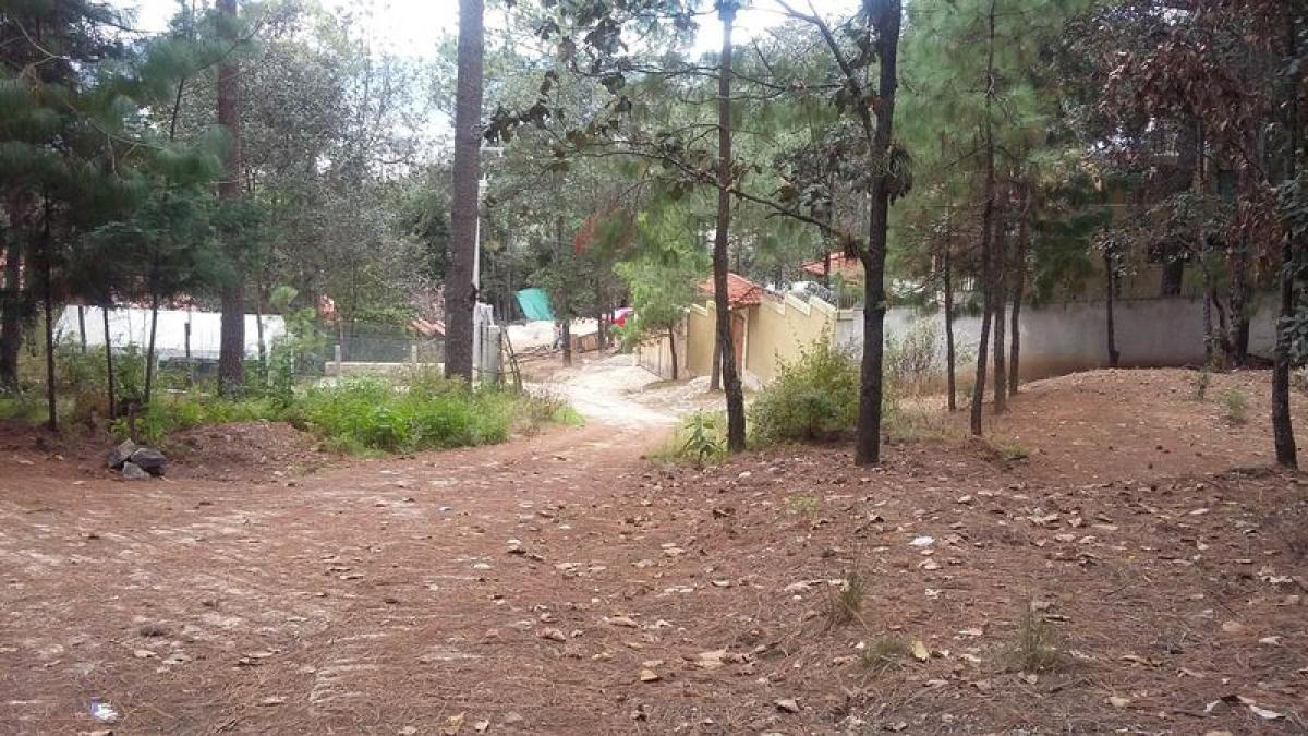 Picture of Other Commercial For Sale in San Cristobal De Las Casas, Chiapas, Mexico