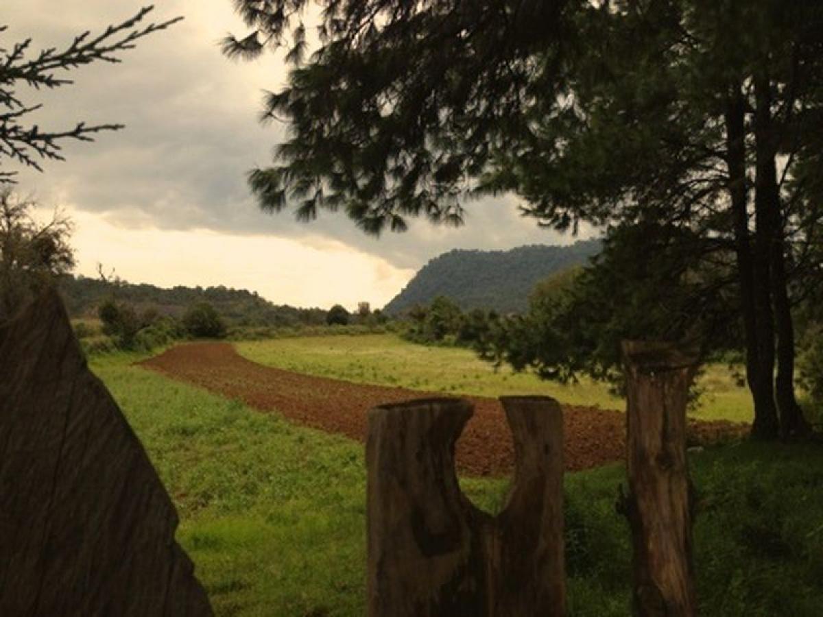 Picture of Other Commercial For Sale in Amanalco, Mexico, Mexico