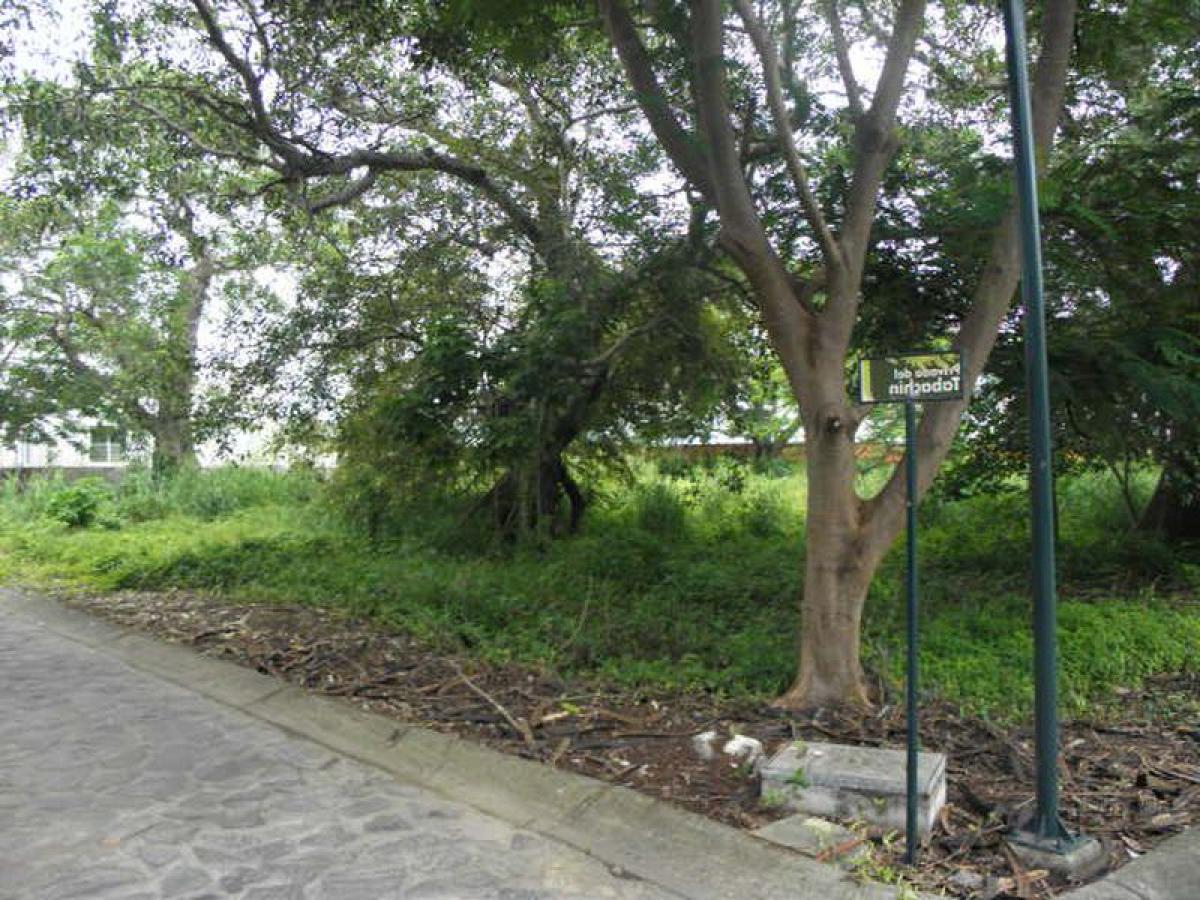 Picture of Other Commercial For Sale in Colima, Colima, Mexico