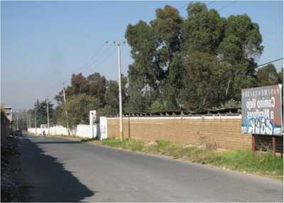 Other Commercial For Sale in Tlalmanalco, Mexico