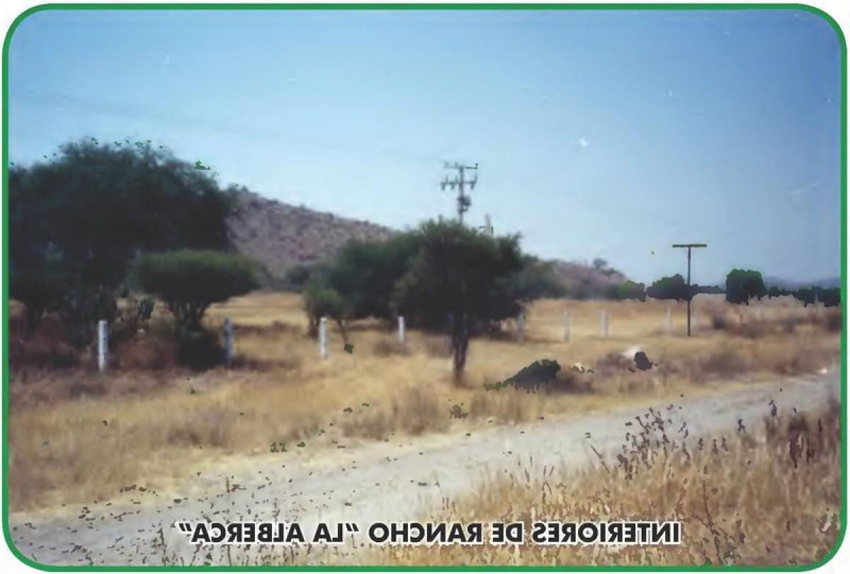 Picture of Other Commercial For Sale in San Luis De La Paz, Guanajuato, Mexico