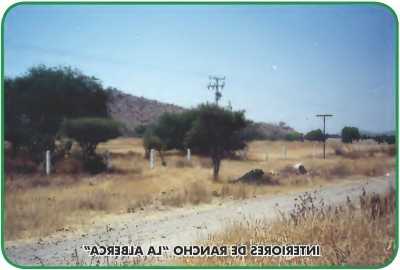 Other Commercial For Sale in 