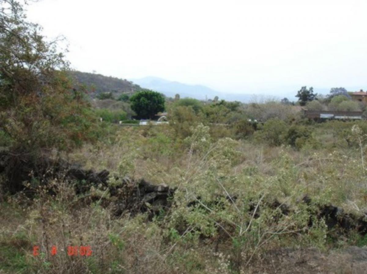 Picture of Other Commercial For Sale in Tepoztlan, Morelos, Mexico