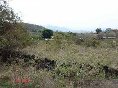 Other Commercial For Sale in Tepoztlan, Mexico