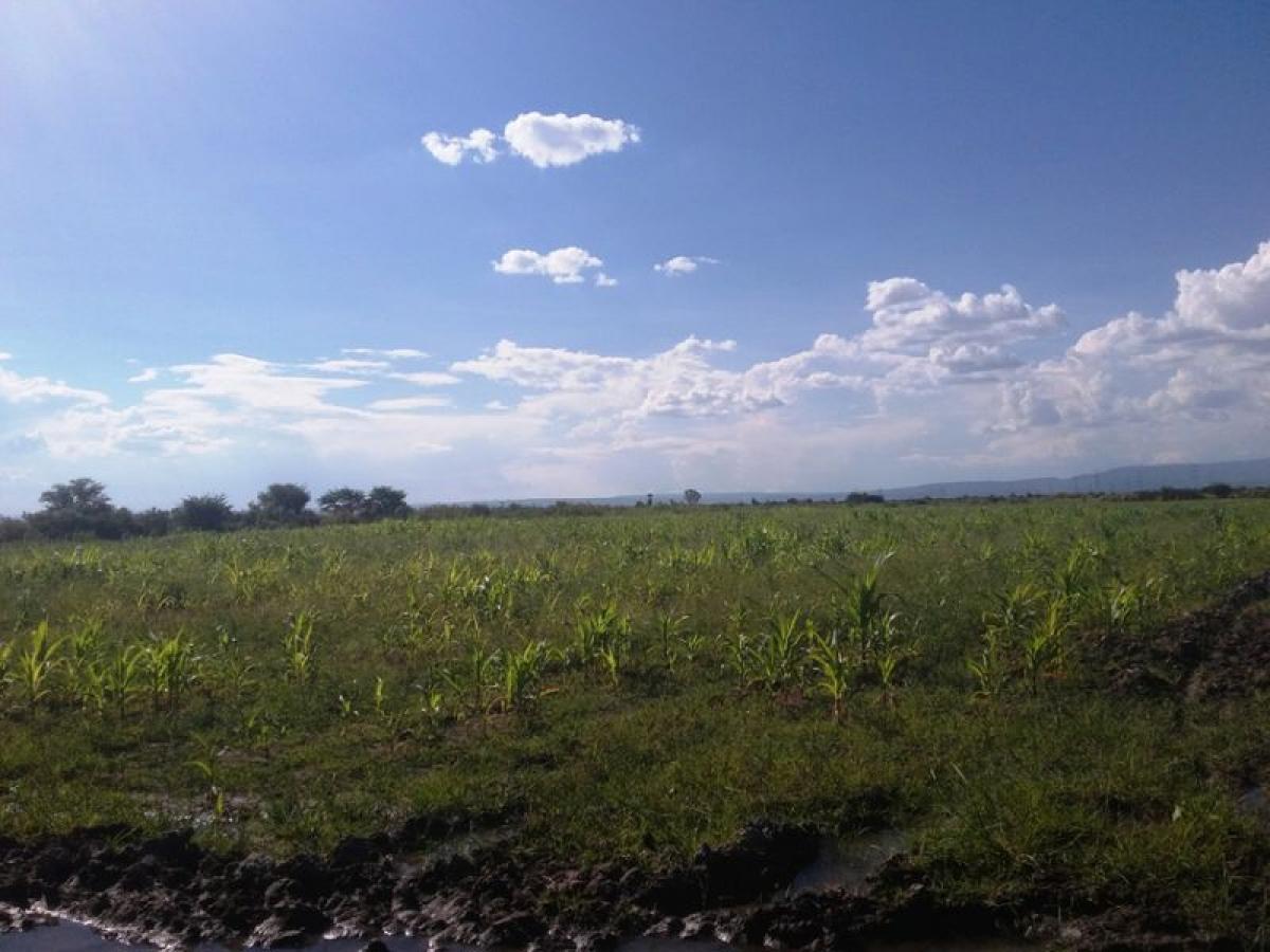 Picture of Other Commercial For Sale in Durango, Durango, Mexico