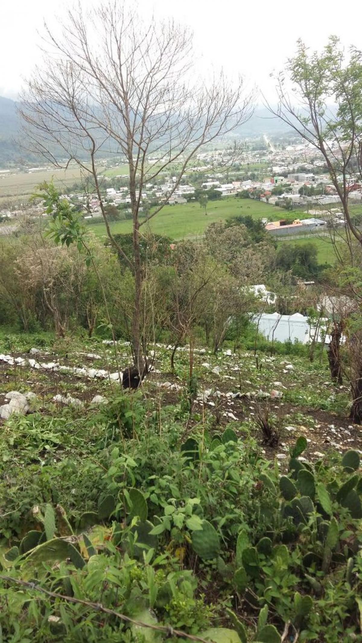 Picture of Other Commercial For Sale in Teopisca, Chiapas, Mexico