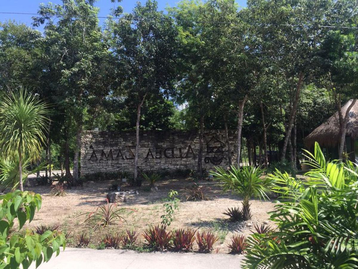 Picture of Other Commercial For Sale in Tulum, Quintana Roo, Mexico