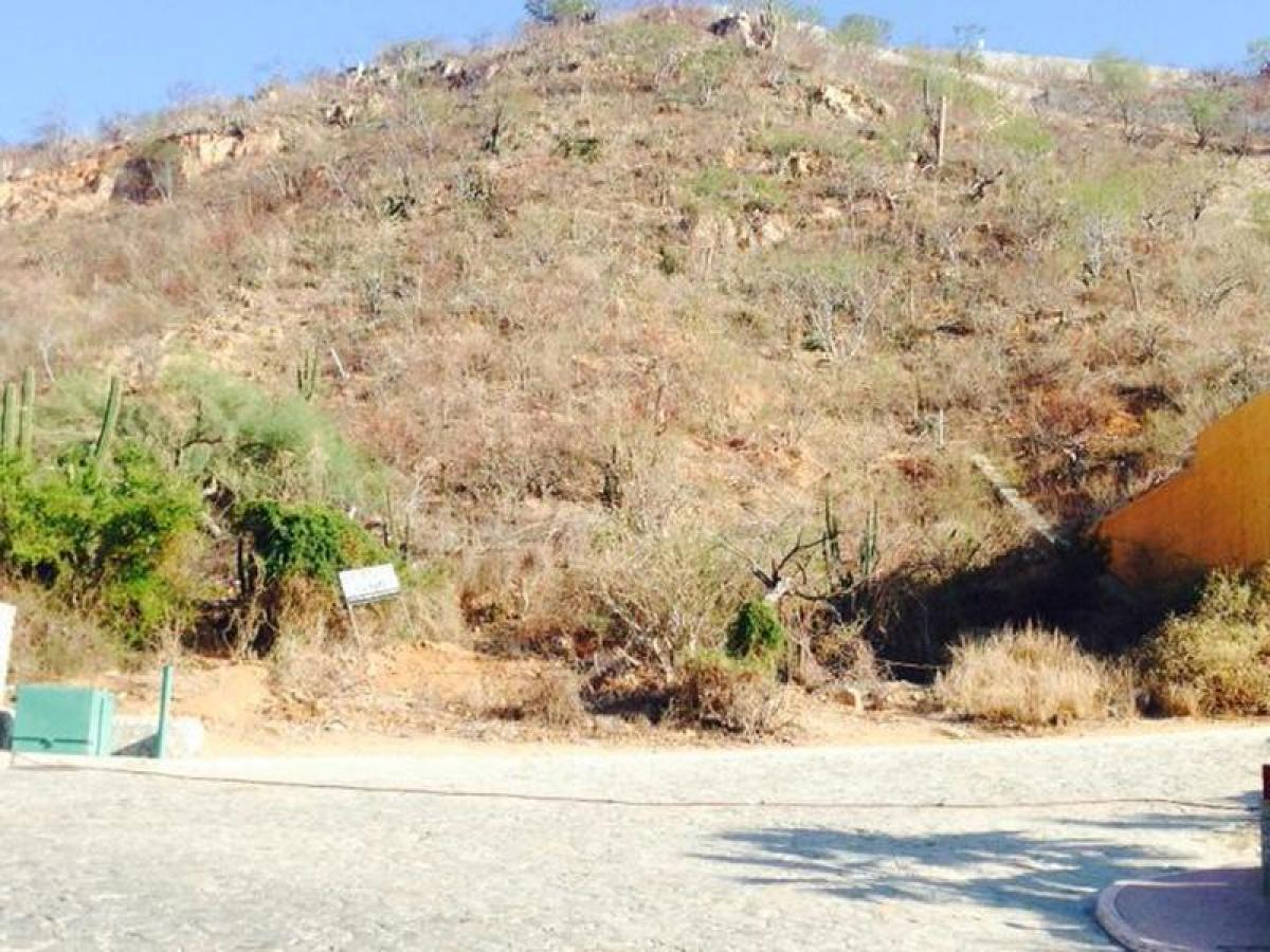 Picture of Other Commercial For Sale in Baja California Sur, Baja California Sur, Mexico