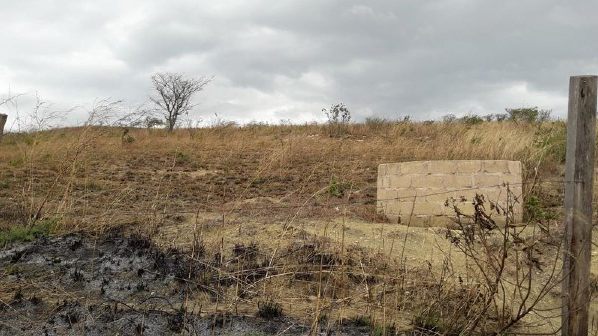 Picture of Other Commercial For Sale in Berriozabal, Chiapas, Mexico