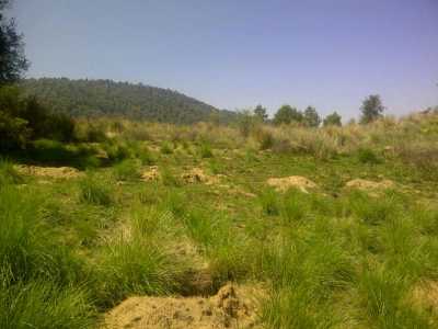 Other Commercial For Sale in Lerma, Mexico