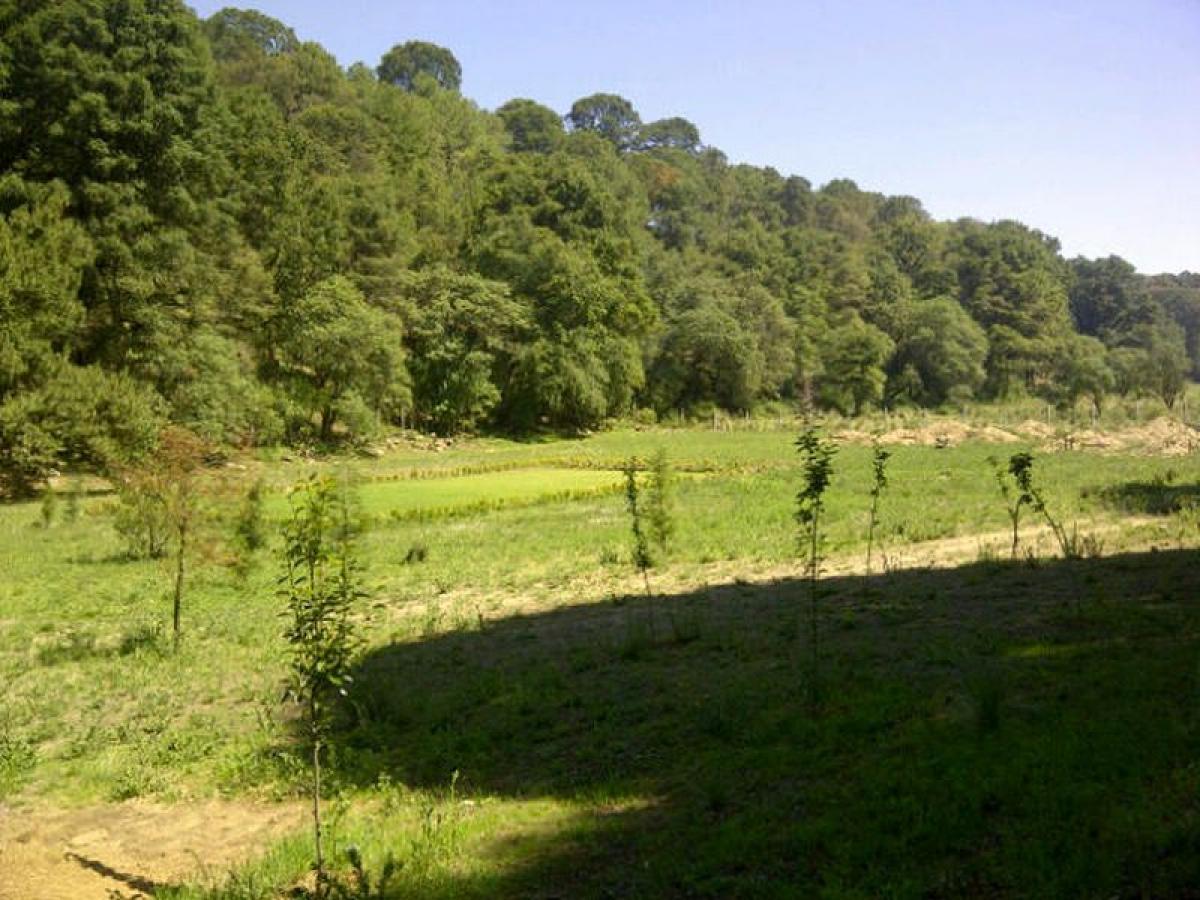 Picture of Other Commercial For Sale in Lerma, Mexico, Mexico