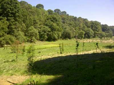 Other Commercial For Sale in Lerma, Mexico