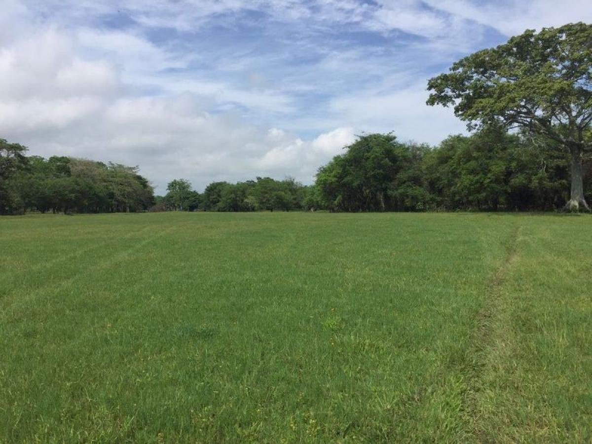 Picture of Other Commercial For Sale in Macuspana, Tabasco, Mexico