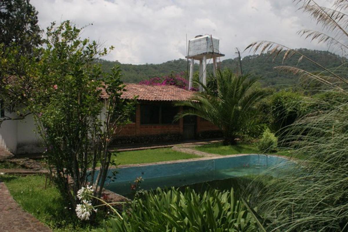 Picture of Other Commercial For Sale in Temascaltepec, Mexico, Mexico