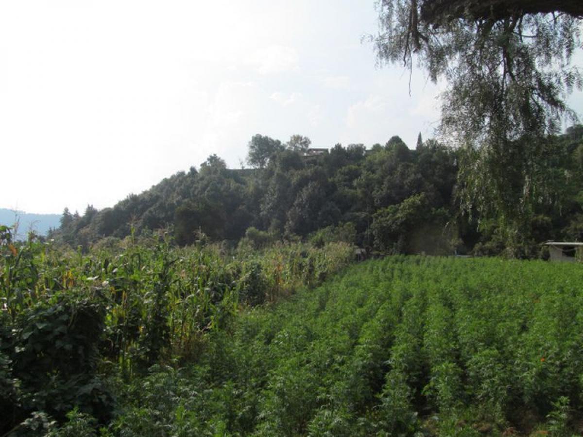 Picture of Other Commercial For Sale in Amanalco, Mexico, Mexico