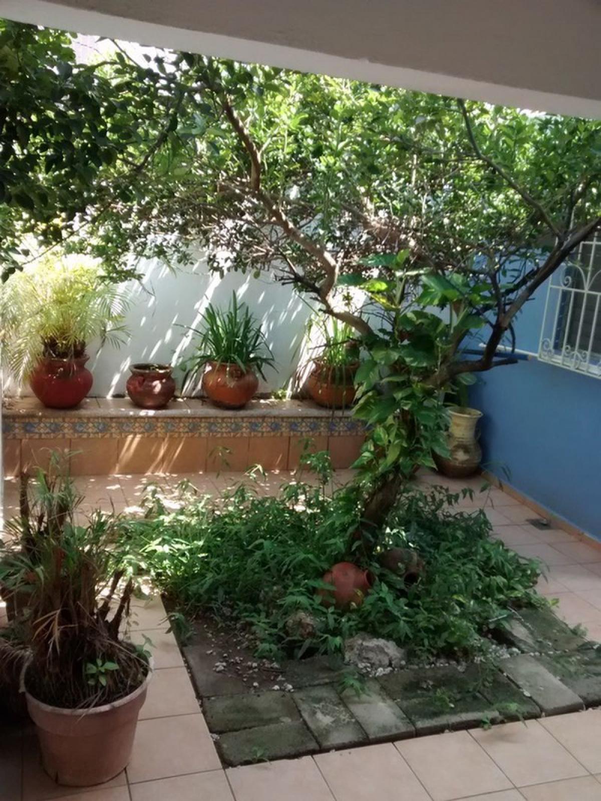 Picture of Other Commercial For Sale in Tabasco, Tabasco, Mexico