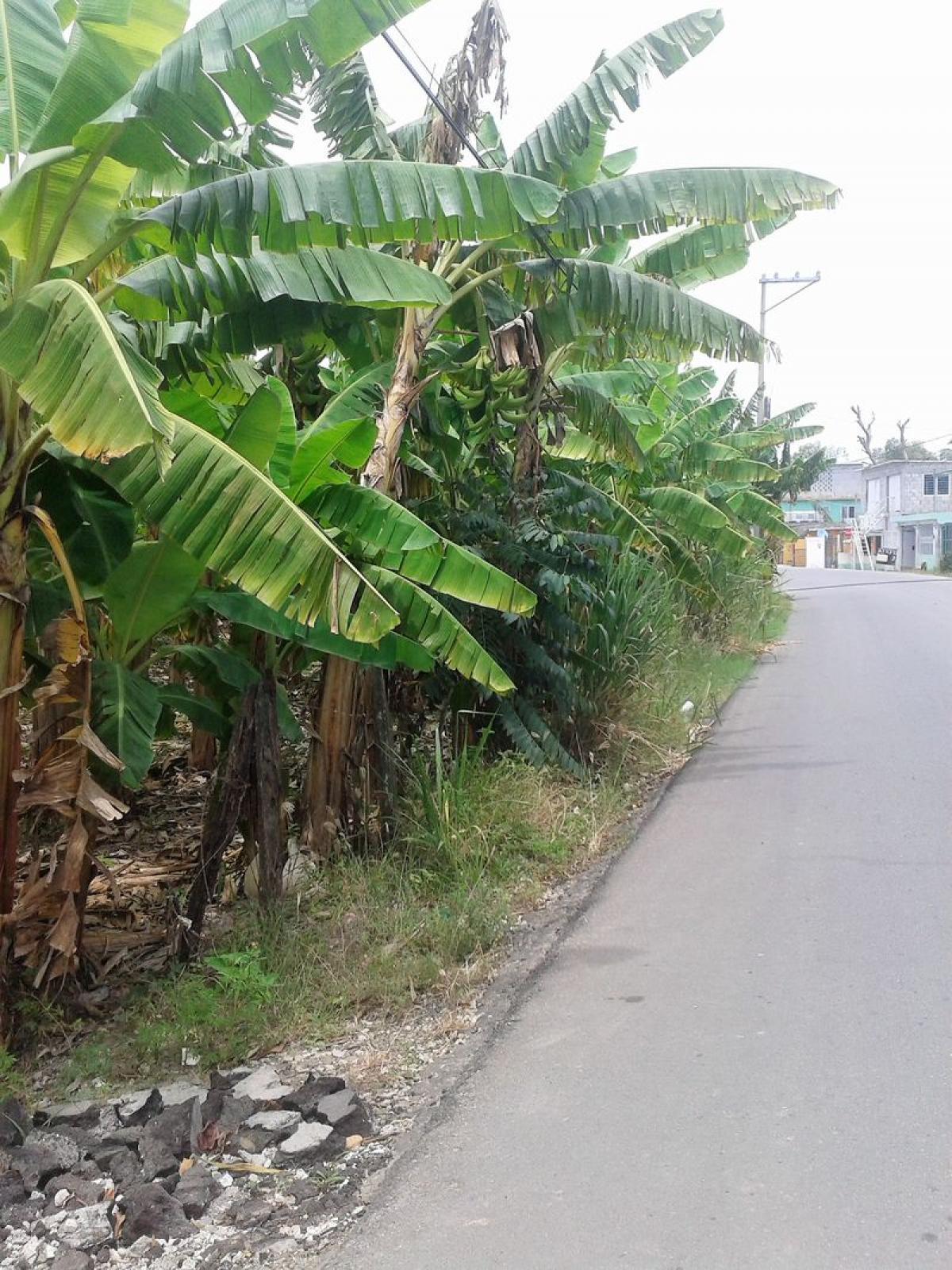 Picture of Other Commercial For Sale in Zacatecas, Zacatecas, Mexico