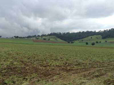 Other Commercial For Sale in