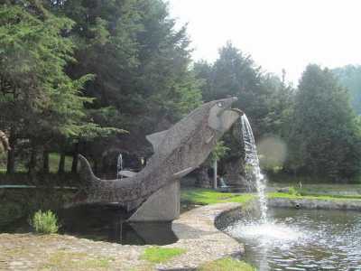 Other Commercial For Sale in Amanalco, Mexico