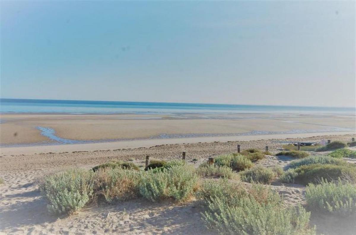 Picture of Other Commercial For Sale in Puerto Penasco, Sonora, Mexico